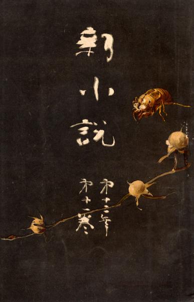 江戸の怪異譚 : 地下水脈の系譜(堤邦彦 著) / 日本書房 / 古本、中古本 江戸の怪異譚 : 地下水脈の系譜(堤邦彦 著) / 日本書房 / 古本、中古本