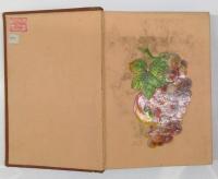 英和双解字典 An English and Japanese Dictionary of the English Language by P. Austin Nuttall LL.D,