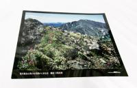 白籏史朗の南アルプス