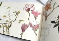 杉浦非水写生帖