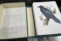 Mitteleuropäische Vögel　中央ヨーロッパの鳥　