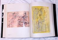 難波田龍起画集