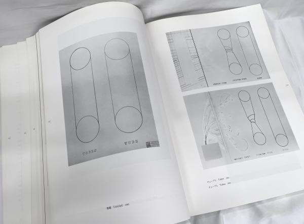 荒川修作の実験展 : 見る者がつくられる場(荒川修作 作 ; 東京