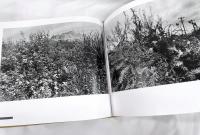 背高あわだち草　尾仲浩二写真集