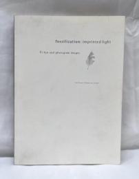 光の化石　瑛九とフォトグラムの世界