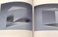 Takatani Shiro : camera lucida　高谷史郎　明るい部屋