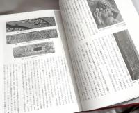 東洋美術の装飾文様 　植物文篇