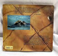 TURTLE ISLANDS Baliinese Ritual and the Green Turtle　チャールズ・リンゼイ
