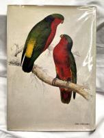EDWARD LEAR'S BIRDS  エドワード・リア