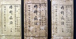 内科病論