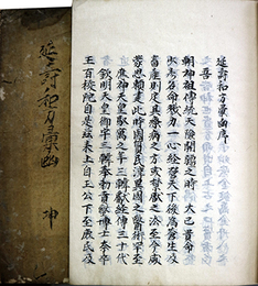 写本延寿和方彙函