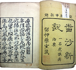 番沙新説