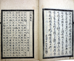 金鶏医談