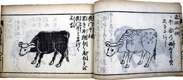 牛科重宝記