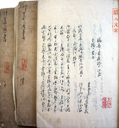 写本外蕃通書