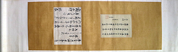 小野蘭山・多紀元簡（安長）尺読合装