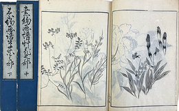 素絢画譜　草花の部