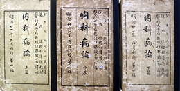 内科病論