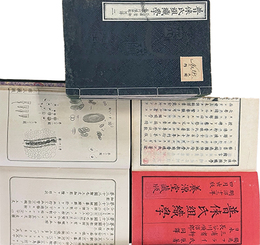 普来氏組織学・付録図解共