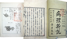 病理新説・図式揃