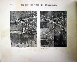空中写真判読資料