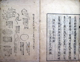 和方凍青堂家言