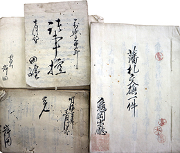 丹羽亀山藩主丹羽信正付人岸田躔旧蔵文書