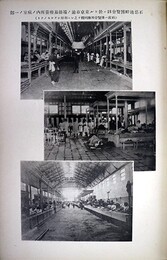 東京市震災衛生救療誌