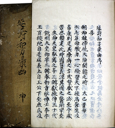 写本延寿和方彙函