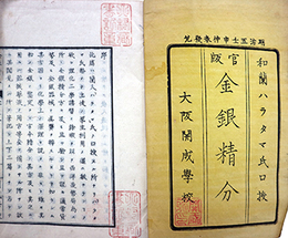 官版金銀精分