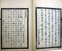 金鶏医談