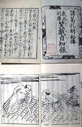 笑戯自知録