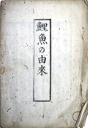 鯉魚の由来