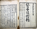 医事隨證録