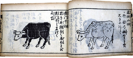 牛科重宝記