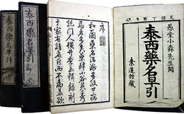 泰西薬名早引