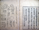 和方凍青堂家言