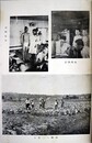 昭和１５年度学生衛生隊報告