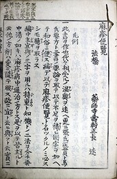 麻疹便覧