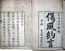 傷風證治約言