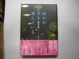 定本何かが空を飛んでいる