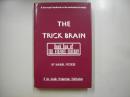 Trick Brain : Book Two of the Fitzkee Trilogy
