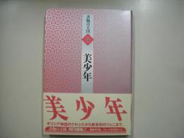 美少年―書物の王国８