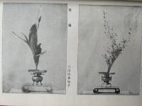 池坊流花道指南　全　絵入