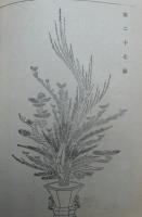池坊流花道指南　全　絵入
