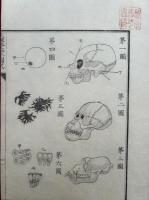 生理発蒙　図式共14巻14冊揃　絵入