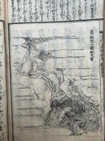 本化高祖紀年録　目録共11巻11冊揃　絵入