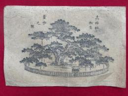 【木版画】高砂社相生霊松之図