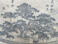 【木版画】高砂社相生霊松之図