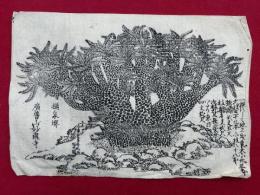 【木版画】摂泉堺広普山妙国寺（大蘇鉄図）